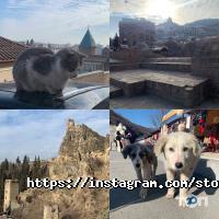 4-you Харьков фото