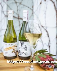 Sparkling Wine Gallery, винний бар фото