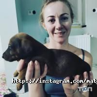 Margaritki.com, шоу-рум фото