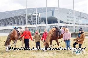 Хобі Темпо фото