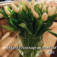 Кафе, бары Cafestar фото