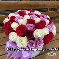 IFlores отзывы фото