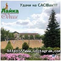 відгуки про Лайка фото