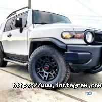 Шипшина Полтава фото