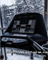 Арена Житомир фото