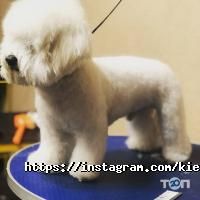 Київська грумінг-майстерня, розплідник фото