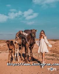 Туристические агентства, экскурсии Paradise Travel фото