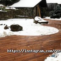 Ліс Харків фото