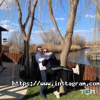 відгуки про Up Service фото