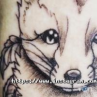 Бусик Запоріжжя фото