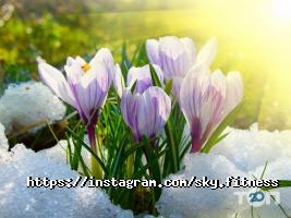 Фитнес центры SKYFITNESS фото