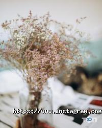 GoodEnglish Club, навчальний центр фото