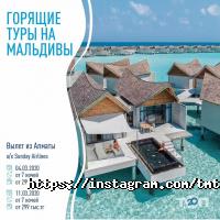 ИП TMT Travel отзывы фото