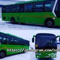 SchoolBus, служба по развозу детей фото