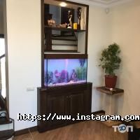 Зоомагазины и услуги для животных Южный фото