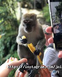 Join Up відгуки фото