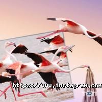 Moyo отзывы фото