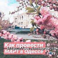 Готелі, хостели Лермонтовський фото