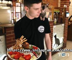 Кафе, бари Cat Cafe фото
