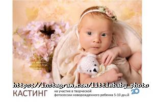 Little Baby Foto отзывы фото