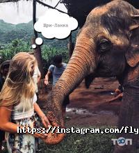 відгуки про Fly Travel фото