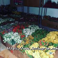 Green Rose, магазин квітів та товарів для флористики фото