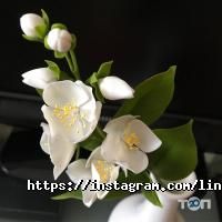 Оформлення залу, доставка квітів Line Deco фото