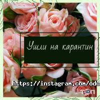 Одуван, творчеська мастерська фото