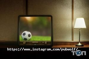 Вульф Житомир фото