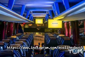 відгуки про Ecolines фото