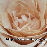 Vorobei about Flowers Винница фото