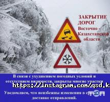 QSD отзывы фото