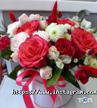 Квіти & Подарунки Одеса фото