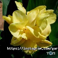 відгуки про Сад Вашої мрії фото