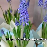 відгуки про Даруй квіти фото