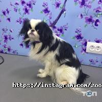 Зоомагазины и услуги для животных Нюша фото
