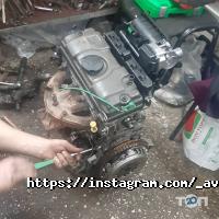 відгуки про Slon фото