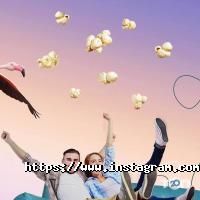 Магазины бытовой техники Moyo фото