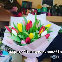 Оформление зала, доставка цветов flower studio 777 фото