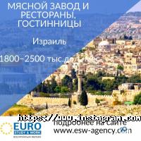 Euro Sudy & Work Київ фото