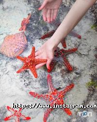 Best Travel, турагентство фото