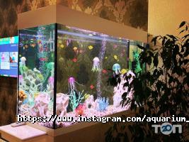 отзывы о Южный фото