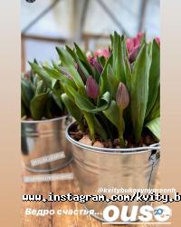 Магазины цветов Магазин цветов на проспекте Независимости фото