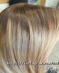 М'ята Дніпро фото