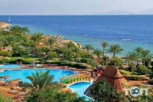 Алтис, туристическое агентство фото