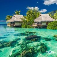 відгуки про Аміго-тур фото