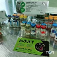 Biovet, ветеринарна клініка фото