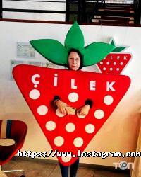 Чемпіон відгуки фото