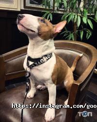 Goodman, стейк-хаус фото