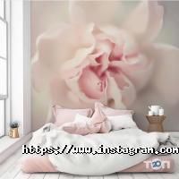 Арт, магазин шпалер фото